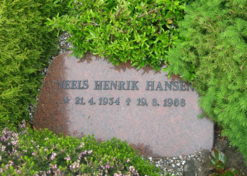 Neels Henrik Hansen.jpg